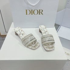 Christian Dior Slippers